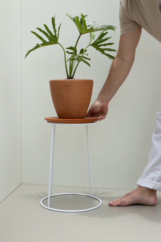 Mesa Floratta com vaso de planta sobre o tampo